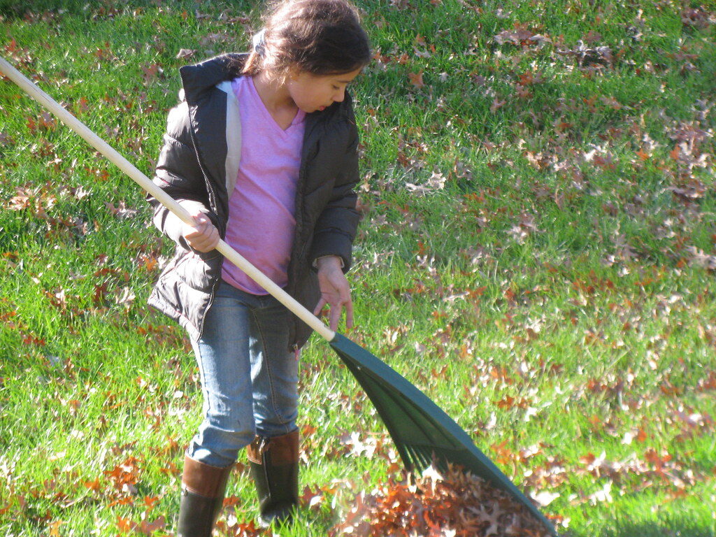 Raking autumn leaves during a garden tidy-up